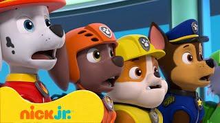 Psi Patrol | Najbardziej brawurowe przygody na wieży widokowej z Chase'em i Skye | Nick Jr. Polska