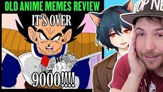 OLD ANIME MEME REVIEW FROM 15 YEARS AGO - ft Merryweather