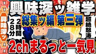 【2ch興味深い雑学スレ】総集編 第３弾！明日誰かに話したくなる有益で無駄な豆知識がつく2chネタまとめ【作業用】 [ ゆっくり解説 ]