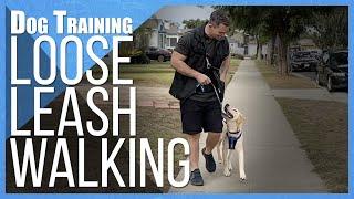 Say Goodbye to Leash Pulling: How to Train Any Dog to Walk Nicely