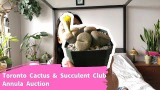 Toronto Cactus & Succulent Club Annual Auction