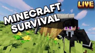 Minecraft Survival | LIVE