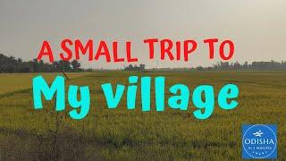 A Small Trip To My Village | Village Life in Odisha