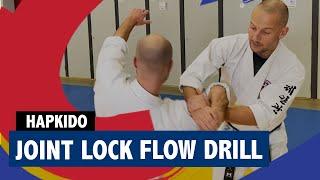 Joint Lock Flow Drill for Hapkido or Hankido