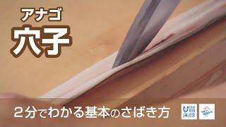 穴子（あなご）のさばき方 - How to filet Conger eel -｜日本さばけるプロジェクト（海と日本プロジェクト）