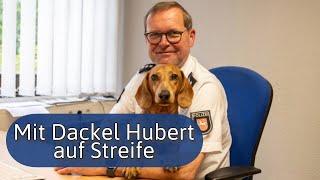 Auf Spiekeroog geht Dackel Hubert auf Streife