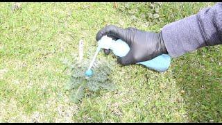 Spot weed killer - kill weeds not your good plants!