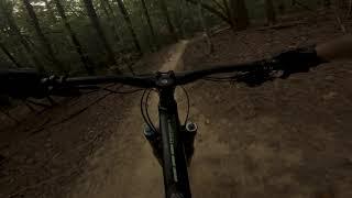 Mountain Biking Ridgeline | Dupont State Forest