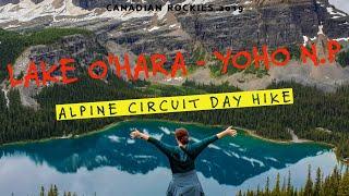 Lake O'Hara - Yoho National Park - Alpine Circuit Hike 4K #canadianrockies