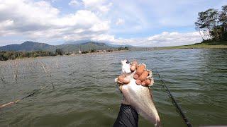 TAK DISANGKA‼️ PINDAH SPOT MALAH DAPAT IKAN LANGKA || mancing ikan nila di waduk selorejo ngantang