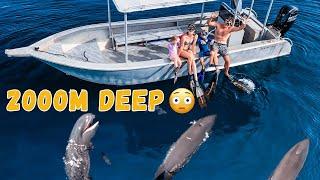 Kids Swim With 300+ Whales in Open Ocean!