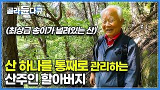 최상급 송이가 널렸는데도 욕심 안부리는 산주 할아버지│여든이 넘은 나이에도 직접 캐는 송이와 알이 꽉 찬 잣│덕유산에 찾아온 가을│경상남도 거창│한국기행│#골라듄다큐