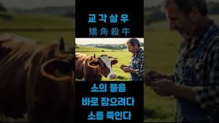 교각살우