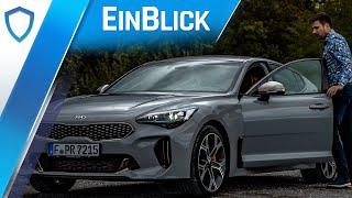 Kia Stinger GT 3.3 V6 AWD (2020) - ECHTE Konkurrenz für die deutschen Platzhirsche?