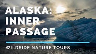 Alaska: Inner Passage (Wildside Nature Tours Photography Workshop)