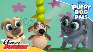 Stuffing a New Toy Ruff | Puppy Dog Pals  | Disney Junior Arabia