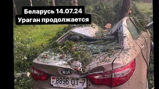 Беларусь 14.07.24 ураган продолжается. Гомель Речица Лунинец Жлобин и тд