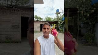 Special Dragon Fruit juice ||Assamese Mini Vlog#minivlog
