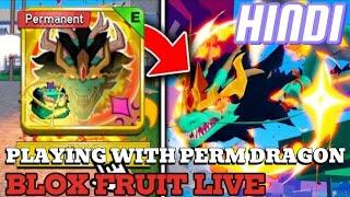 PLAYING WITH PERM DRAGON IN BLOX FRUIT | BLOX FRUITS LIVE |#bloxfruit #bloxfruits #bloxfruitlive