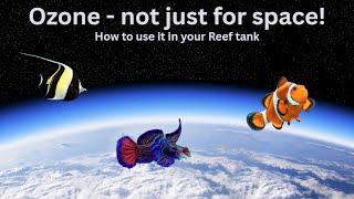 Reef Tank Clarity Solved with OZONE!