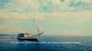 Discover Komodo Island's Wonders with AYANA Cruises