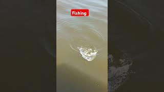 #fishing #coxbazar #nature #foryou