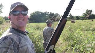 Opening Day Dove Hunt in Kentucky