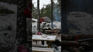 Карельский перешеек 2007. Стоянки на Ястребином озере. Ноябрь 2007г  #карельскийперешеек #туризм