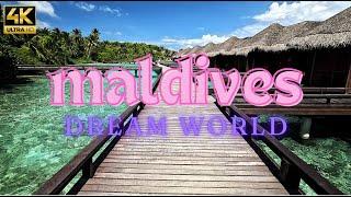 Maldives: Dream World