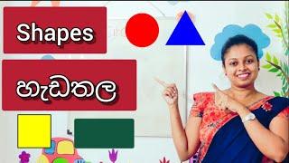 Shani Teacher | Shapes | හැඩතල | Circle | Triangle | Square | Rectangle |