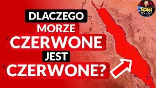 Dlaczego MORZE CZERWONE jest CZERWONE? 