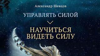 Видеть Силу | Александр Шевцов