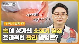 성가신 역류성 식도염, 과민성대장증후군‍ , 효과적인 관리 방법은?  소화기 질환 편│궁금하닥