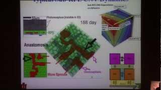 From Molecules to Tissues: Multiscale Modeling from a Multicellular Viewpoint - James Glazier