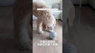 狗狗無聊時的最佳夥伴！Fable Pets 狗狗益智玩具-The Game 漏舔食二合一不倒翁玩具