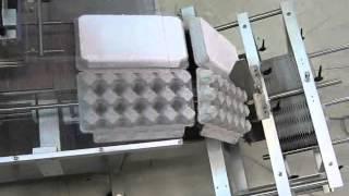 เครื่องปิดฉลาก กล่องไข่ COMPACT 600 : EGGS CARTON MACHINE