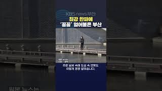 2025.01.09. #한파 #날씨 부산날씨 추위 겨울 영하 시장 얼음 한랭질환 서정윤기자