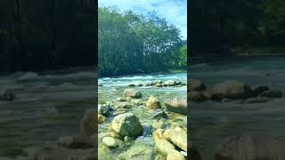 Natural beauty of World status 2022 #ytshorts #shortvideo