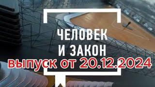 Человек и Закон сегодня: выпуск от 20.12.2024