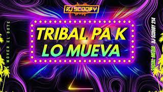 Tribal Mix 2024   DJ SCOOBY 214