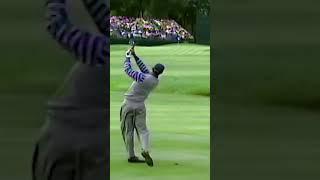 PUREST swing from Tiger Woods! 