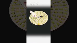 New tricks  #princeproinvention