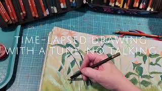 A Quiet Colored Pencil Drawing of Garden Foliage (time-lapsed)