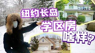 【Lin’s Vlog】纽约长岛看房记1 华人最爱的大颈学区房啥样？ | House hunting in Long Island during a snowstorm