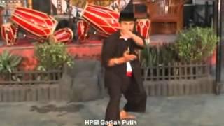 Jurus Pencak Silat Sesepuh  Gadjah Putih Gemah