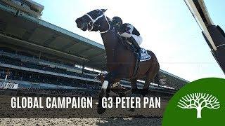 Global Campaign - 2019 - The Peter Pan Stakes