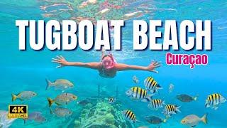 The Ultimate Travel Guide • Tugboat Beach Snorkeling Adventure [2024]