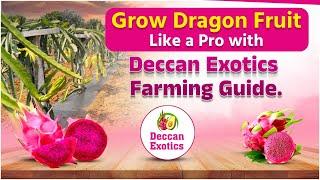 Dragon Fruit Cultivation || Dragon Fruit Farming || Dragon Fruit Farming Guide || Deccan Exotics