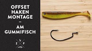 Offset Haken Montage am Gummifisch