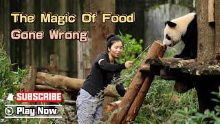 Not Enough Food To Bring The Panda Home | iPanda